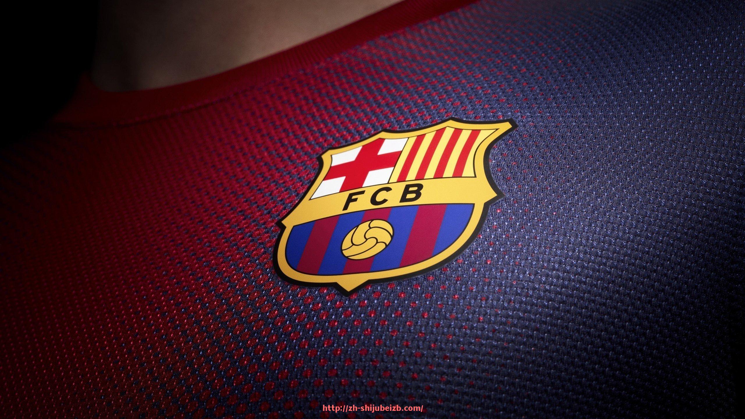 世俱杯直播-深度解读世俱杯赛事关键技术指标，洞察比赛胜负背后的数据逻辑